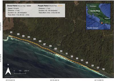 Warm beach, warmer turtles: Using drone-mounted thermal infrared sensors to monitor sea turtle nesting activity